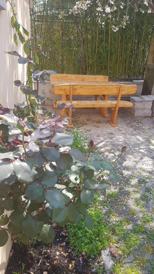 Apartment South Gate Zadar Eksteriør bilde